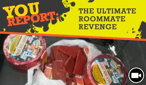 YouReport: The Ultimate Roommate Revenge