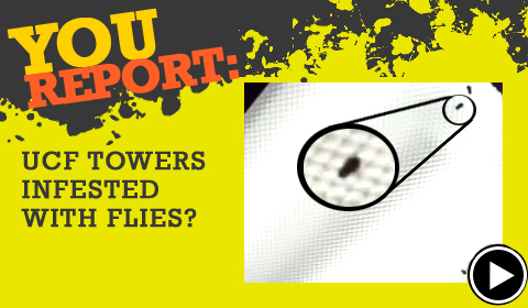 YouReport: UCF Towers Infested with Flies?