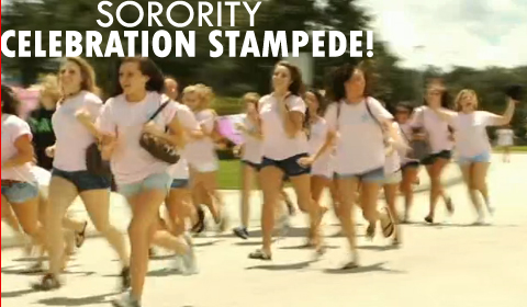 Raw Video of Sorority Celebratory Stampede