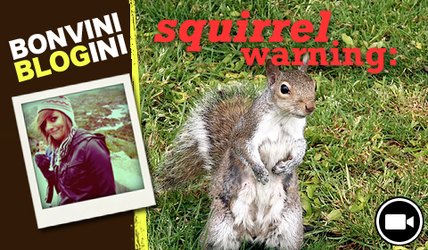 Bonvini Blogini: Squirrel Warning