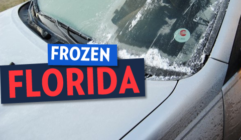 Frozen Florida