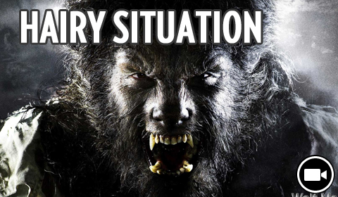 Wolfman Released, Hairy Situation