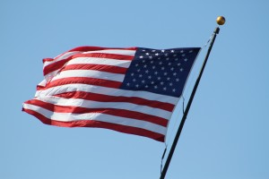 IMG_9501