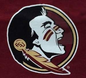 Updated FSU logo