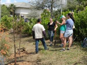  Numerous University of Central Florida students and staff celebrate UCF's Arbor Day on March 17 by planting native trees at the pond near Garage H. Students also engaged in learning through a walking tree tour around campus and a nature trail at Lake Claire.  