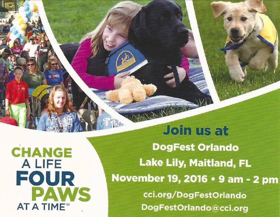 DogFest Orlando Brings Assistance Dogs to Loving and Disabled Veterans