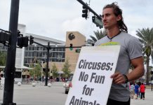 UCF students protest circuses on campus