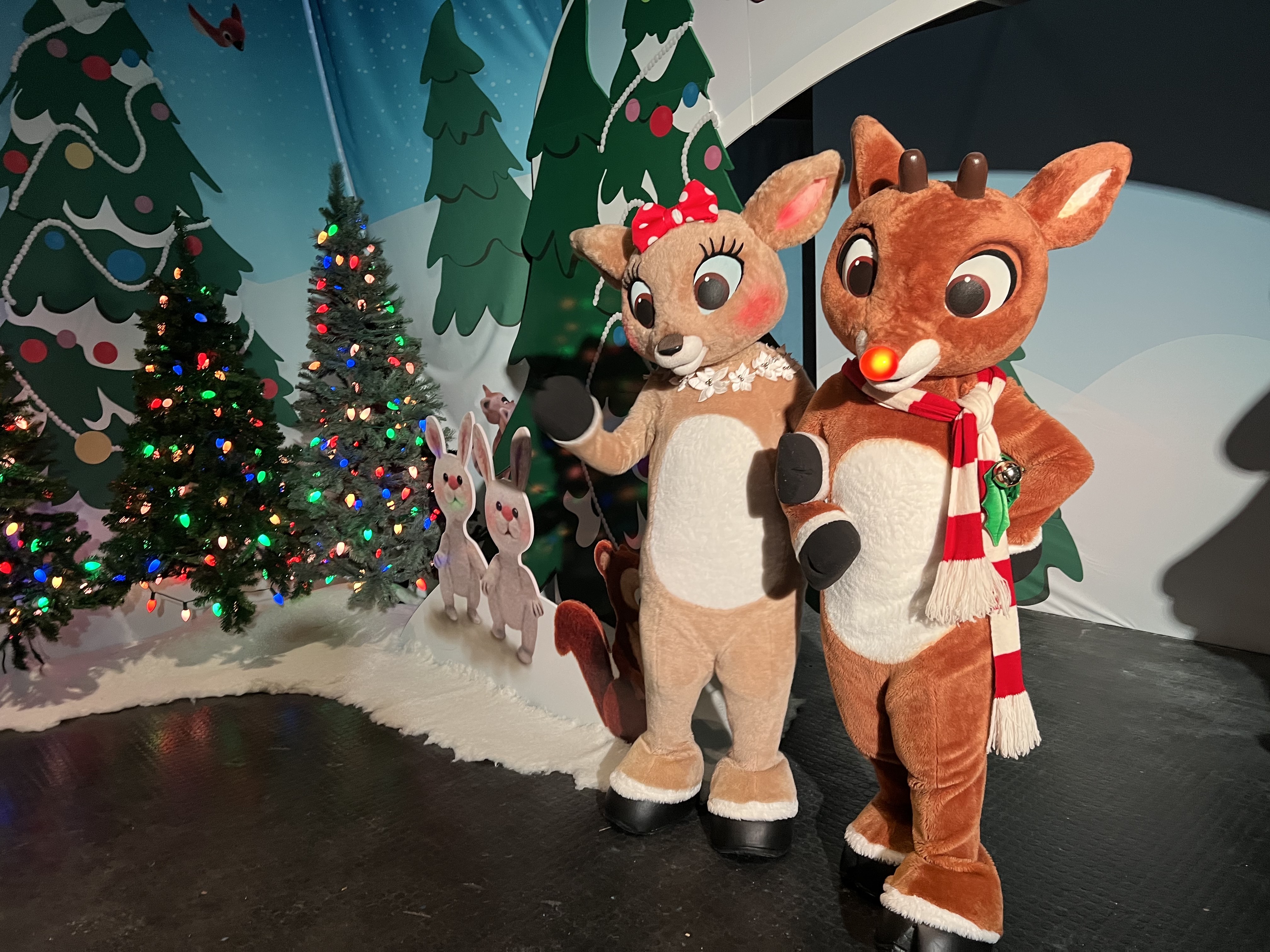 SeaWorld's Christmas Celebration – Seasonal Event