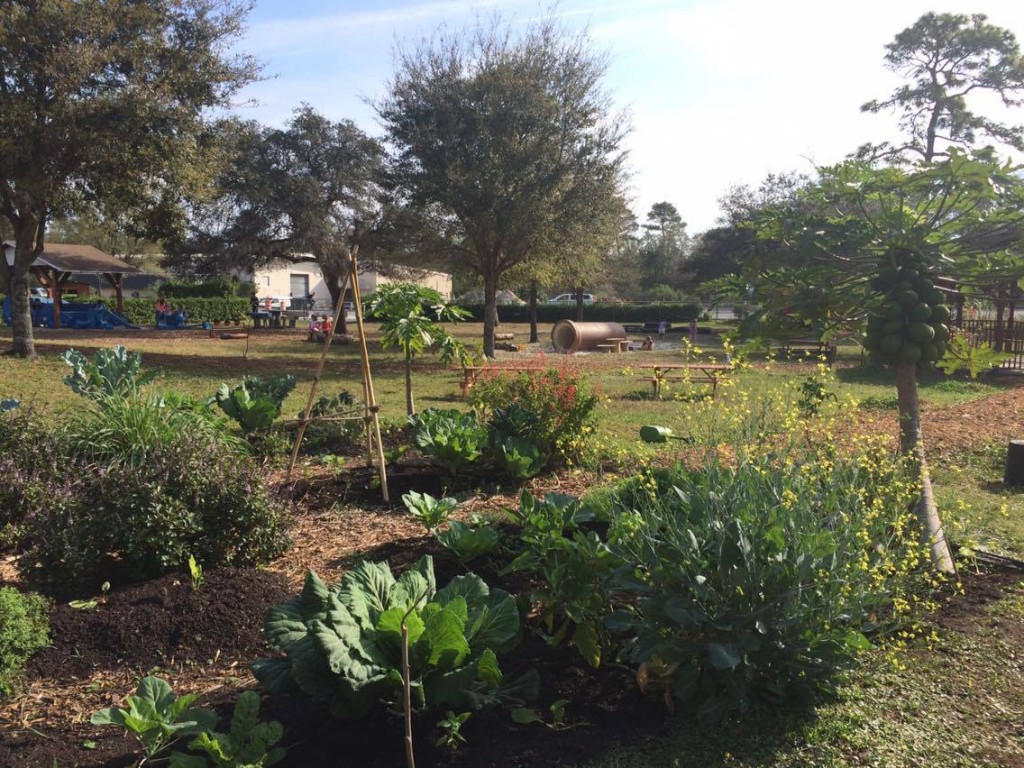 UCF Creative School for Children Embraces New Garden Learning Area