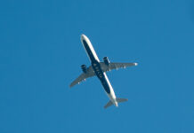 The Government is Back, Now What?